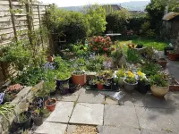 羅文樹屋民宿 惠特百住宿飯店