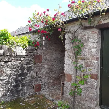 Cosy & homely cottage 1m from Brixham-Tucked away from the hustle and bustle .