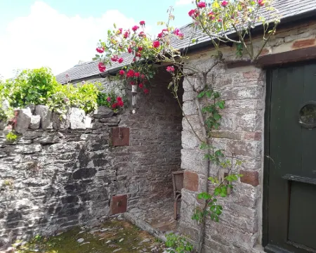 Cosy & homely cottage 1m from Brixham-Tucked away from the hustle and bustle . Hotel a Brixham
