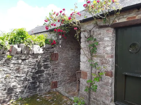 Cosy & homely cottage 1m from Brixham-Tucked away from the hustle and bustle .