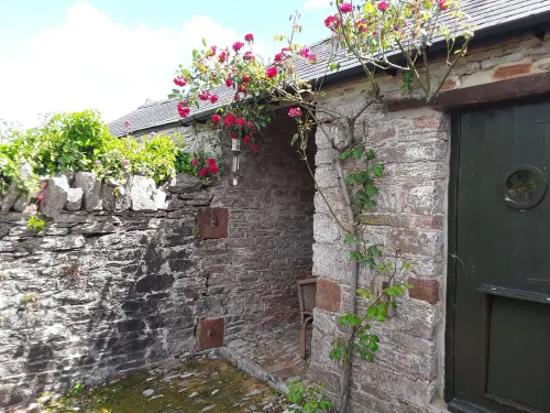 Cosy & homely cottage 1m from Brixham-Tucked away from the hustle and bustle .