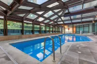 Wyndham Sao Paulo Ibirapuera Convention Plaza Hotel - Pools