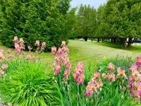 High Quality Vacation Rentals and Five Star Service - Charming Haven Hotel a Baileys Harbor