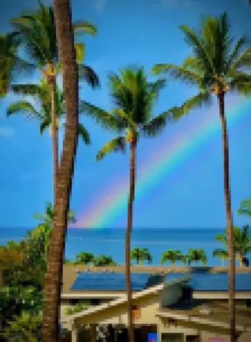 More Aloha for Your Money! Sale 155. Per Night! All Summer Thru Sept Ocean View!