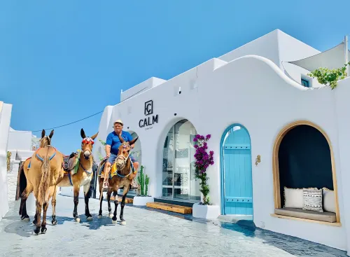 เอฟเจเนีย วิลล่า & สวีทส์ โดย คาล์ม คอลเลคชัน