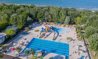 Club del Sole Stork Family Collection