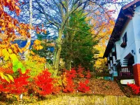 โรงแรมชิราคาโบโกะ ซาเกะเอน