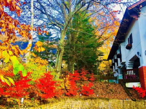 هوتل شيراكاباكو ساكين فنادق في 