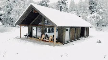 Modern Mountain Cabin - 3 Bedrooms - Sleeps 7