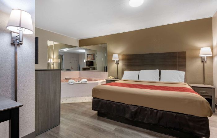 Econo Lodge Dewitt I-90