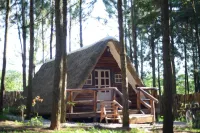 Nyungu Yamawe Forest Park Hotels in Kyadondo