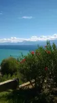 Cozy Apollon Villa, Sea View, Next to Galaxidi - Ocean View