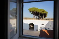 Masseria Filippo de Raho - Agri Bio Relais - Scenic