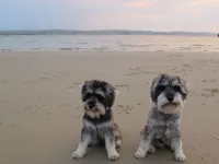 Stone's Throw Guest House