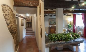B&B Arena di Lucca