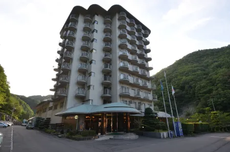 Shin Kabakawa Kanko Hotel Отели в г. Цуруги