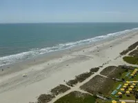 Palms Resort - إطلالة على البحر