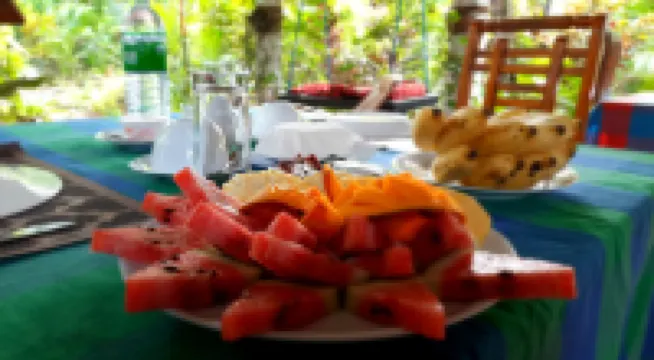 The Otunna Guest House Sigiriya