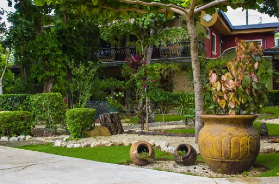 Casas del Toro Playa Flamingo