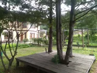 Nirvana Lodge Hotels in 