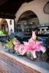 Paloma Blanca Boutique Hotel - Baarit