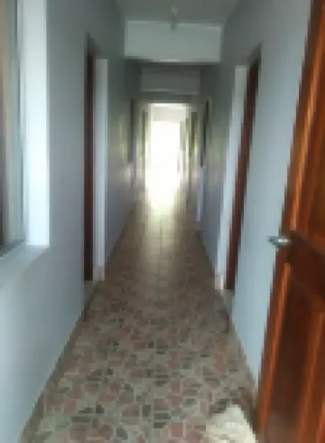 Tropicana Motel & Backpackers