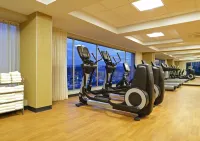 特古西加爾巴凱悦嘉軒酒店 - 健身室/gym room