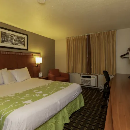 Rodeway Inn Florence - Cincinnati South