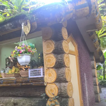 Crazy House