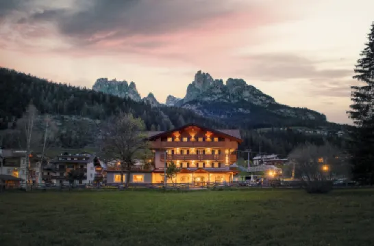 X Alp Hotel Отели в г. 
