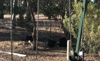 Padthaway Caravan Park