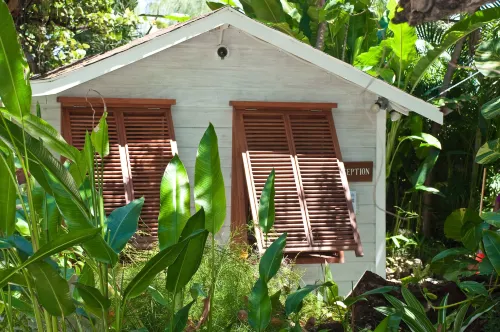 Eco Lifestyle & Lodge Hotels in Bathsheba