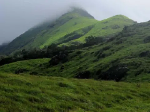Dream Land Residency Hotels in Mananthavady