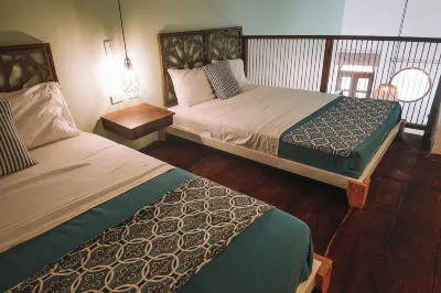 Soy Local Centro Histórico Các khách sạn ở 