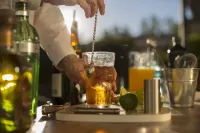 Las Gaviotas Suites Hotel & Spa - bar