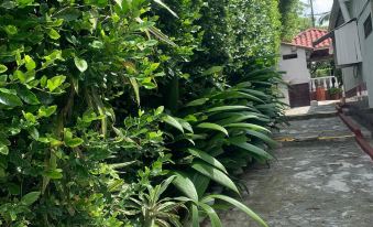 Finca Hotel Chalet Santa Ines