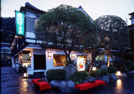 Tsubakino Ryokan