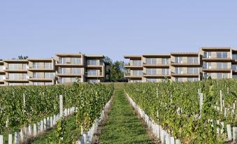 Loisium Wine & Spa Resort Sudsteiermark