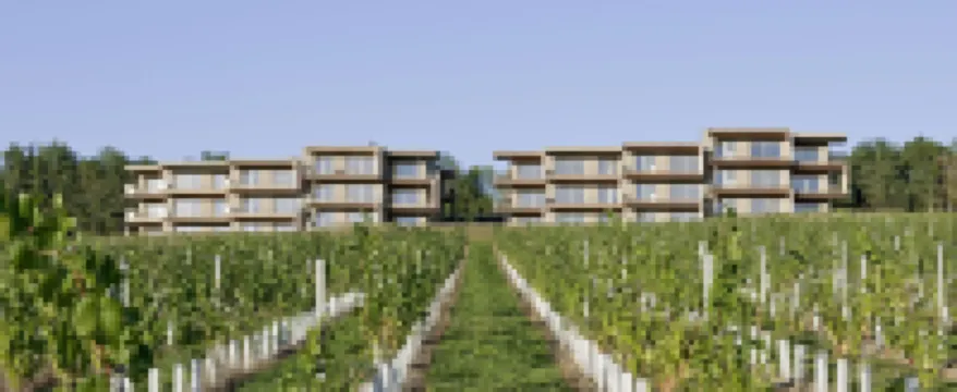 蘇德斯特馬克路易斯葡萄酒水療度假酒店 酒店