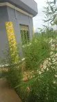 Lite Cottages Hotels in Mbarara Municipality