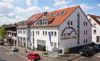 Hotel & Restaurant Goldener Pflug