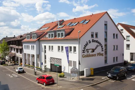 Hotel & Restaurant Goldener Pflug Отели рядом с достопримечательностью «Ludwigsburg Protestant University of Applied Science»