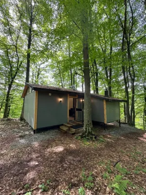 Koban Spa Hotel Hotels in Prigorodny District