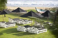 아라벨라 온 부사