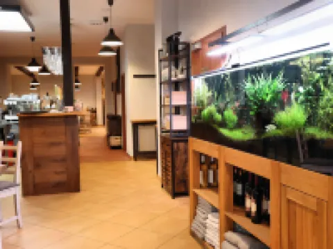 Romania Hotels in Karlovy Vary