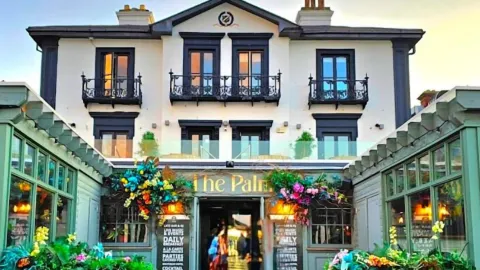 The Palm in Bray