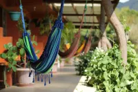 Finca Camino Nuevo - spa