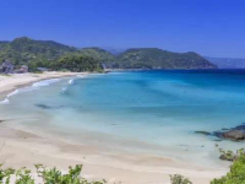 Shimoda Ocean Park Htel Hotels in Shimoda