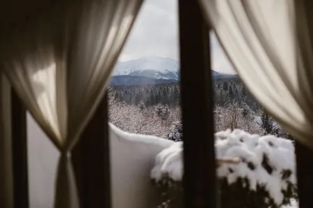 Pensiunea Dealul Verde Отели в г. Крістіан