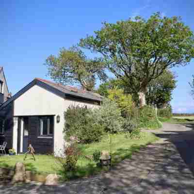 Little Linney - Sleeps 2 - Garden - Parking - Wifi Hotel Exterior